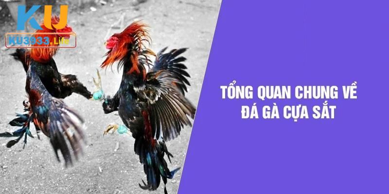 Nắm bắt kèo cược đá gà