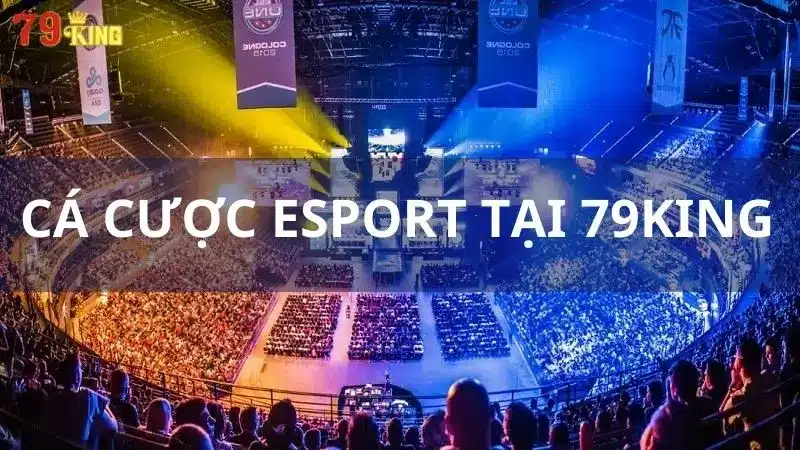 Cá Cược Esport 79king2 - Hình Thức Và Kinh Nghiệm Đặt Cược Mới